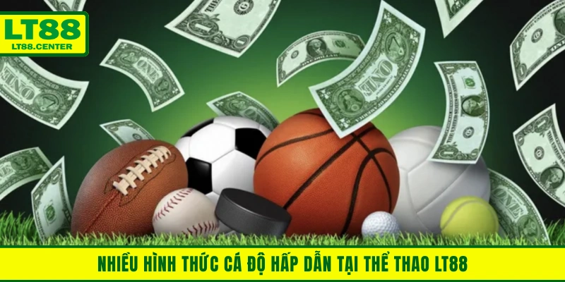 Trải nghiệm nhiều hình thức cá độ hấp dẫn tại thể thao Lt88